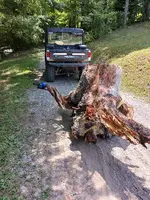 20240721_130300.webp