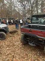Timber trails.webp