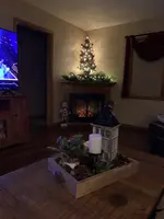 Tree.webp