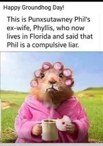 Screenshot 2026-02-02 at 4.25.12 PM.webp