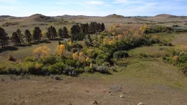 Fall Colors in North Dakota!