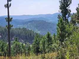 Black Hills trip