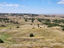 Black Hills trip