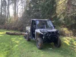 Collecting some firewood