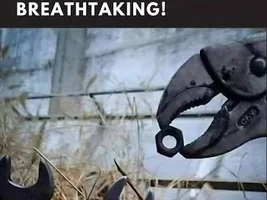 Funny picture thread.