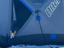 Let’s see those camo crew ultimates doing their thing.
