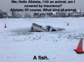 Funny picture thread.
