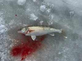 Ice Fishing!!