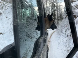 Hello from Montana