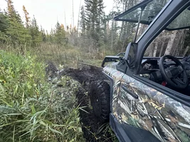 Let’s see those camo crew ultimates doing their thing.