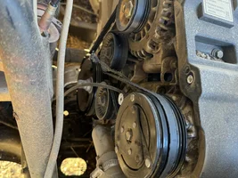 Serpentine belt