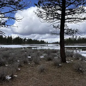 IMG_1732.jpeg