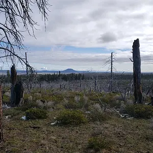 20240407_090057.jpeg