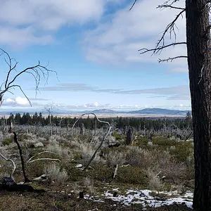 20240407_090051.jpeg