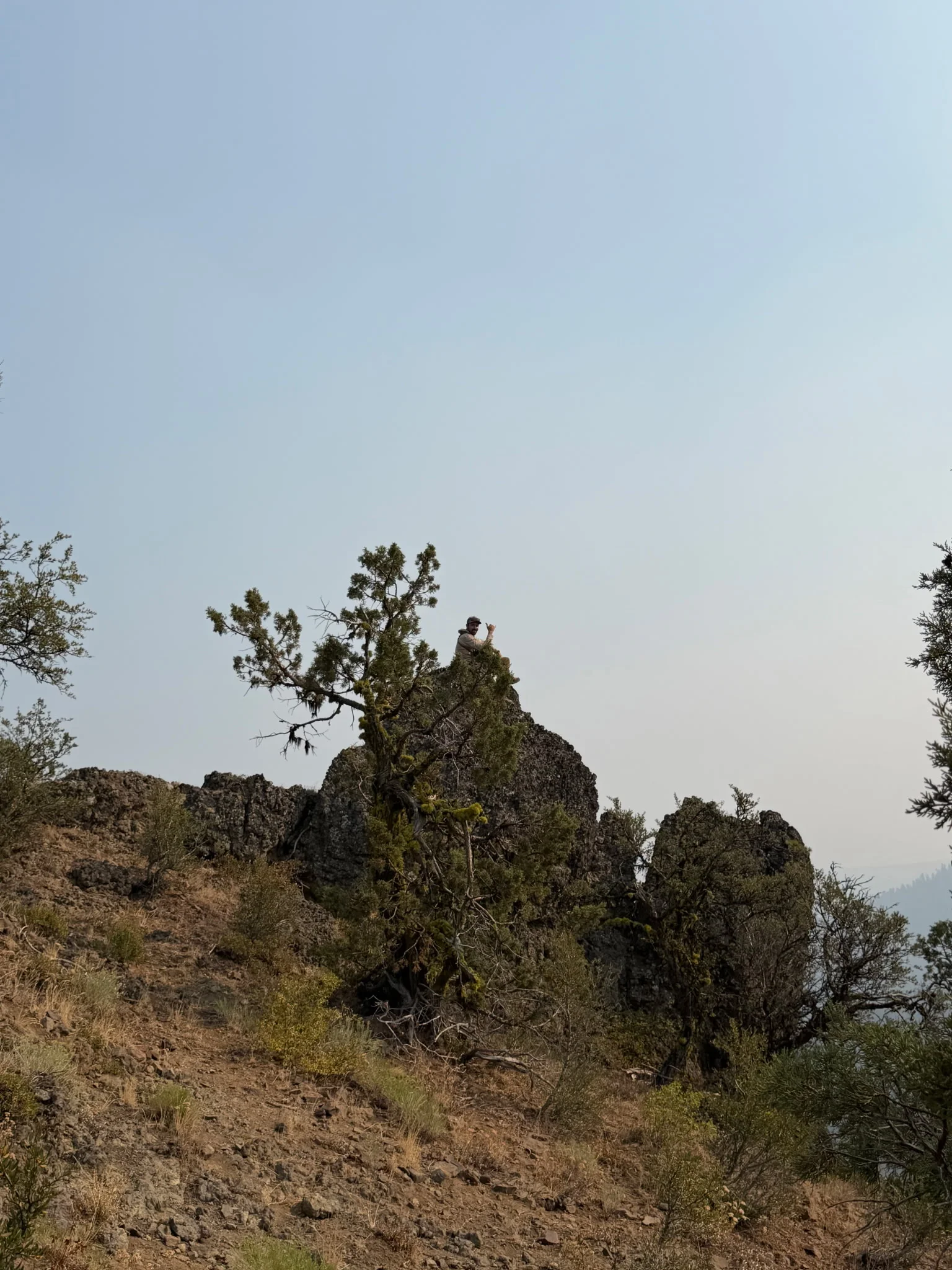 1000003826.webp