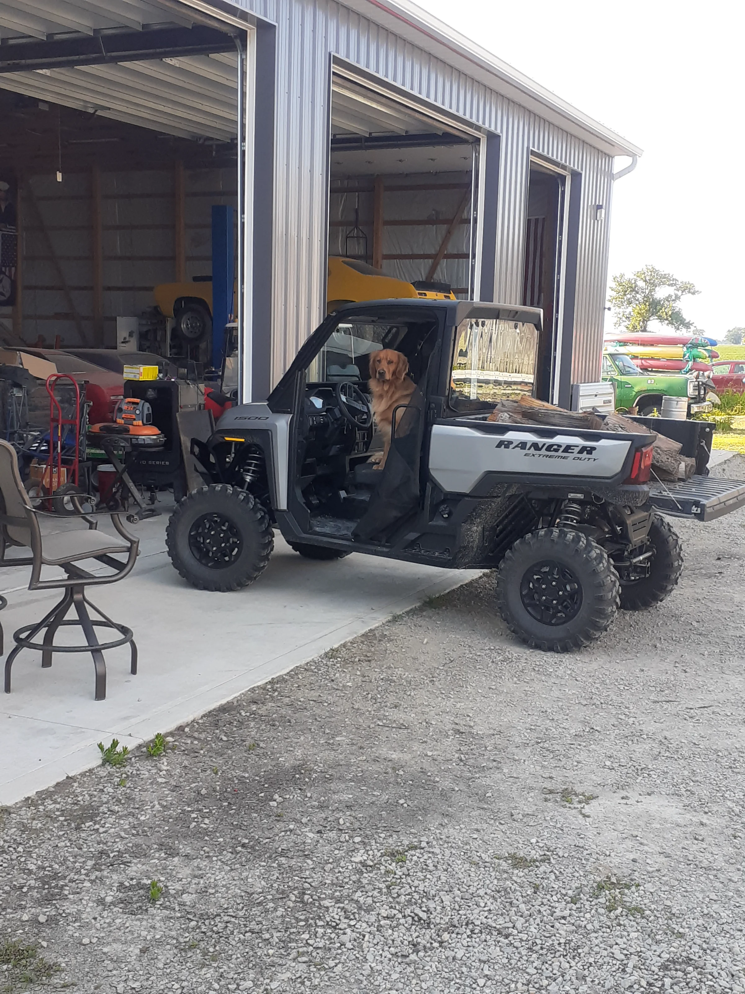 roscoe in ranger.webp